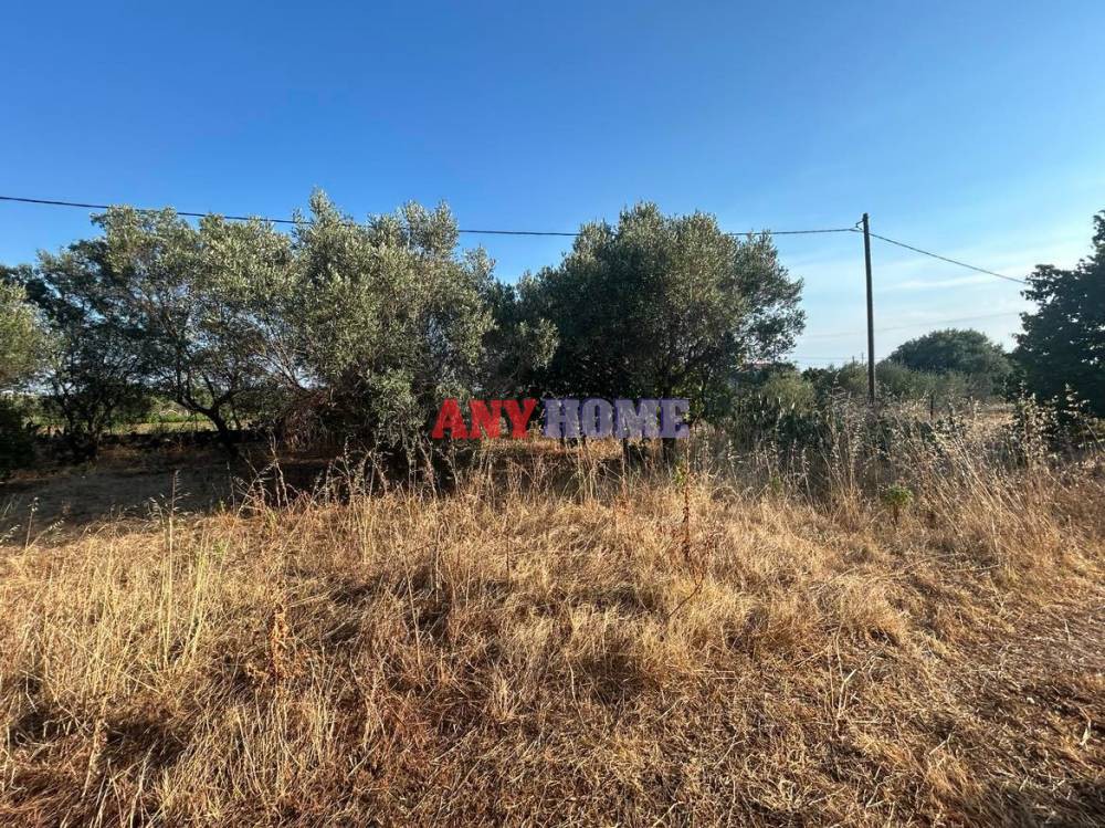 Οικόπεδο 1.291 τ.μ. προς πώληση, Αγγελοχώρι Μηχανιώνας