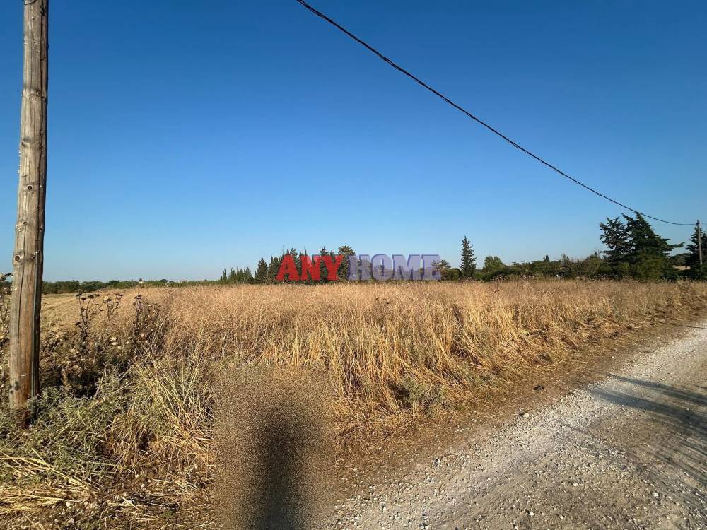 Αγροτεμάχια 7.400 τ.μ. προς πώληση, Αγγελοχώρι Μηχανιώνας