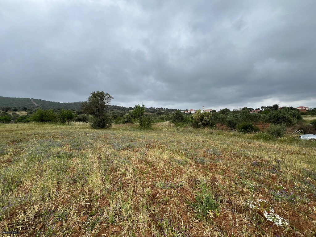 Οικόπεδο 800 τ.μ. πρός πώληση, Εύβοια, Δύστος