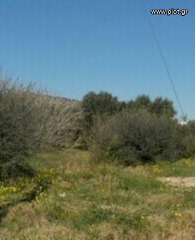 Land plot 6.500sqm for sale-Corfu » Corfu Town