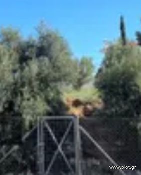 Οικόπεδο 10.000τ.μ. για πώληση-Παλαιά φώκαια