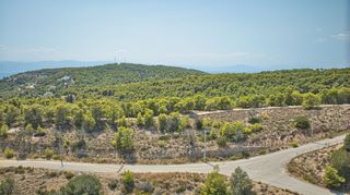 Οικόπεδο 400 τ.μ. για πώληση, Αργολίδα, Κρανίδι-thumb-18