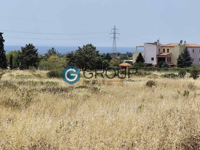 Αγροτεμάχια 2.000 τ.μ. πρός πώληση, Εβρος, Αλεξανδρούπολη