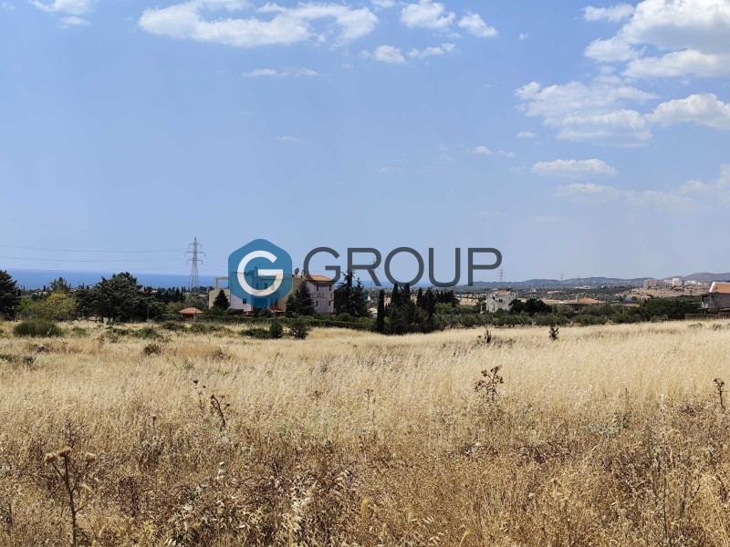 Αγροτεμάχια 2.000 τ.μ. πρός πώληση, Εβρος, Αλεξανδρούπολη