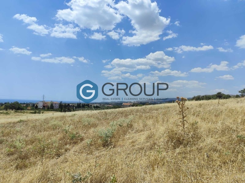 Αγροτεμάχια 2.000 τ.μ. πρός πώληση, Εβρος, Αλεξανδρούπολη