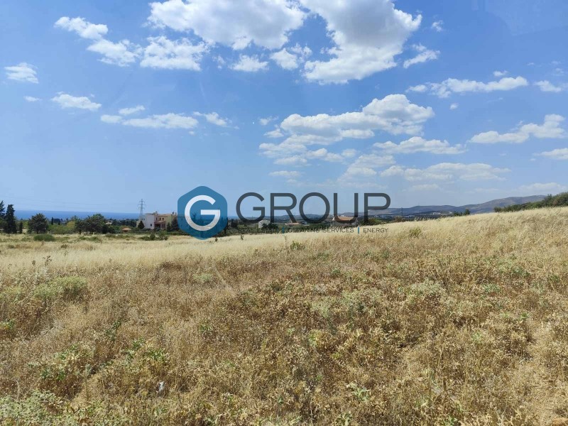 Αγροτεμάχια 2.000 τ.μ. πρός πώληση, Εβρος, Αλεξανδρούπολη