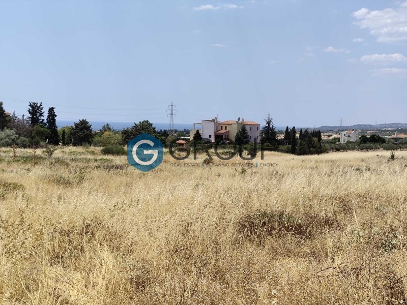 Αγροτεμάχια 2.000 τ.μ. πρός πώληση, Εβρος, Αλεξανδρούπολη