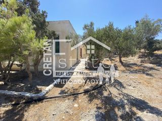 Συγκρότημα διαμερισμάτων 476 τ.μ. προς πώληση, Ν. Λασιθίου, Ιεράπετρα-thumb-10