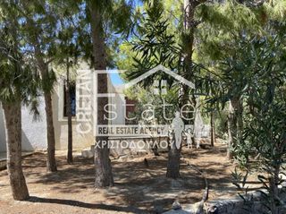 Συγκρότημα διαμερισμάτων 476 τ.μ. προς πώληση, Ν. Λασιθίου, Ιεράπετρα-thumb-13