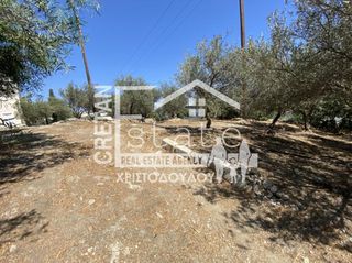Συγκρότημα διαμερισμάτων 476 τ.μ. προς πώληση, Ν. Λασιθίου, Ιεράπετρα-thumb-14