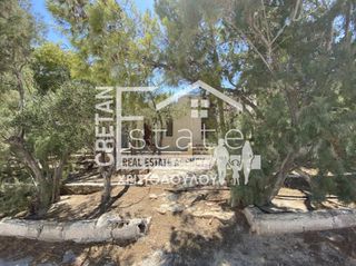 Συγκρότημα διαμερισμάτων 476 τ.μ. προς πώληση, Ν. Λασιθίου, Ιεράπετρα-thumb-11