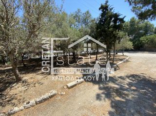 Συγκρότημα διαμερισμάτων 476 τ.μ. προς πώληση, Ν. Λασιθίου, Ιεράπετρα-thumb-15
