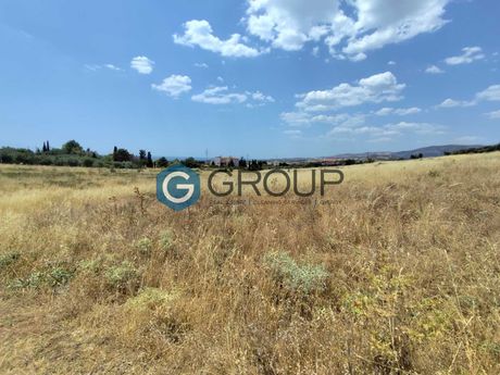 Parcel 2.400sqm for sale-Alexandroupoli » Nea Chili