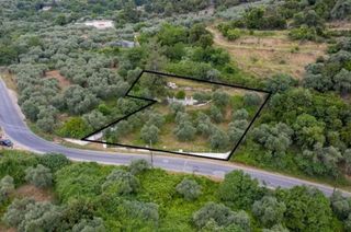 Αγροτεμάχια 2.411 τ.μ. για πώληση, Ν. Καβάλας, Θάσος-thumb-4