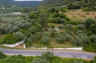 Αγροτεμάχια 2.411 τ.μ. για πώληση, Ν. Καβάλας, Θάσος-thumb-3