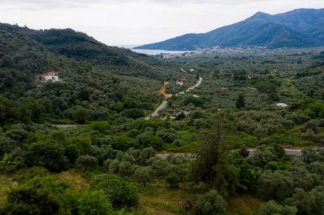 Αγροτεμάχια 2.411τ.μ. για πώληση-Θάσος » Χρυσή αμμουδιά