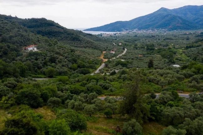 Αγροτεμάχια 2.411 τ.μ. για πώληση, Ν. Καβάλας, Θάσος