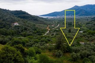 Αγροτεμάχια 2.411 τ.μ. για πώληση, Ν. Καβάλας, Θάσος-thumb-2