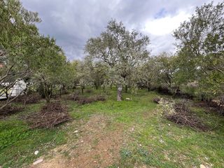 Οικόπεδο 1.343 τ.μ. για πώληση, Ν. Καβάλας, Θάσος-thumb-5