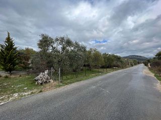 Οικόπεδο 1.343 τ.μ. για πώληση, Ν. Καβάλας, Θάσος-thumb-2