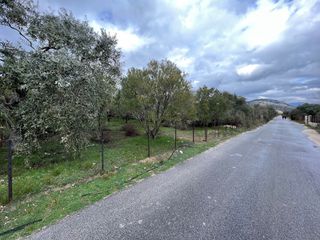 Οικόπεδο 1.343 τ.μ. για πώληση, Ν. Καβάλας, Θάσος-thumb-3