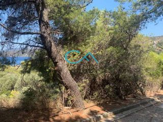 Οικόπεδο 512 τ.μ. για πώληση, Εύβοια, Μαρμάρι-thumb-4