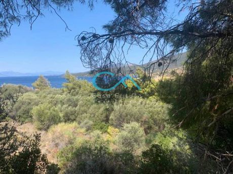 Οικόπεδο 512τ.μ. για πώληση-Μαρμάρι » Άγιος κωνσταντίνος