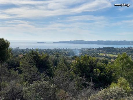 Αγροτεμάχια 4.004τ.μ. για πώληση-Ερμιόνη » Κινέτα