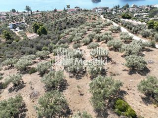 Αγροτεμάχια 9.700 τ.μ. για πώληση, Αργολίδα, Ασίνη-thumb-12