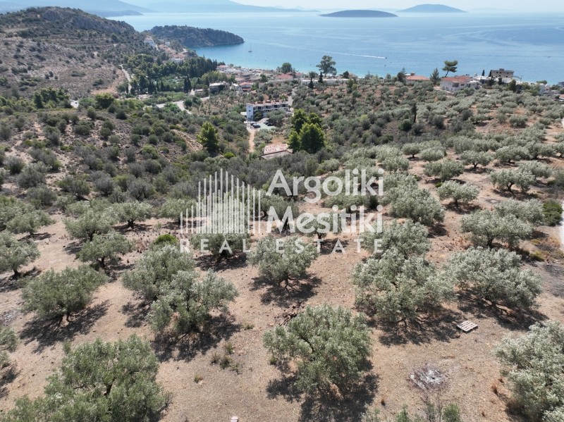 Αγροτεμάχια 9.675 τ.μ. πρός πώληση, Αργολίδα, Ασίνη