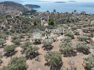 Αγροτεμάχια 9.700 τ.μ. για πώληση, Αργολίδα, Ασίνη-thumb-3