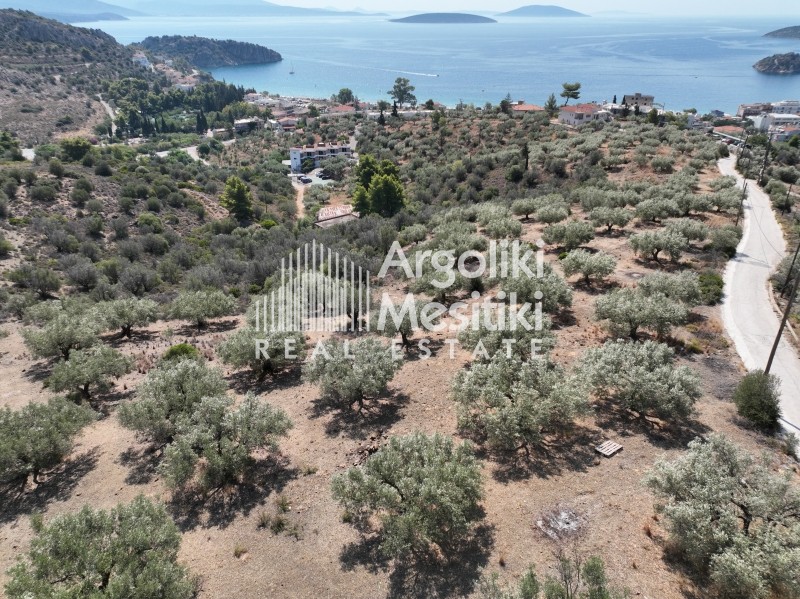 Αγροτεμάχια 9.675 τ.μ. πρός πώληση, Αργολίδα, Ασίνη