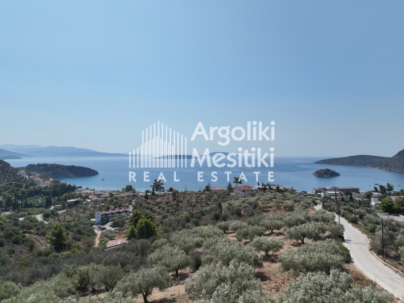 Αγροτεμάχια 9.700 τ.μ. για πώληση, Αργολίδα, Ασίνη