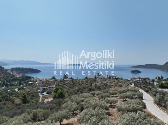 Αγροτεμάχια 9.700 τ.μ. για πώληση, Αργολίδα, Ασίνη