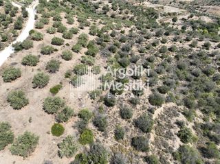Αγροτεμάχια 9.700 τ.μ. για πώληση, Αργολίδα, Ασίνη-thumb-10