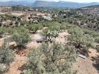 Αγροτεμάχια 9.700 τ.μ. για πώληση, Αργολίδα, Ασίνη-thumb-15