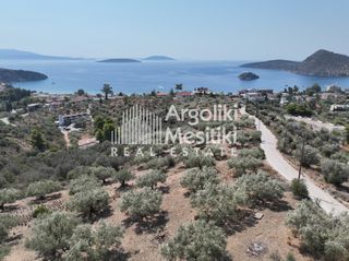 Αγροτεμάχια 9.700 τ.μ. για πώληση, Αργολίδα, Ασίνη-thumb-5