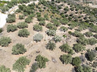 Αγροτεμάχια 9.700 τ.μ. για πώληση, Αργολίδα, Ασίνη-thumb-11