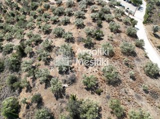 Αγροτεμάχια 9.700 τ.μ. για πώληση, Αργολίδα, Ασίνη-thumb-8
