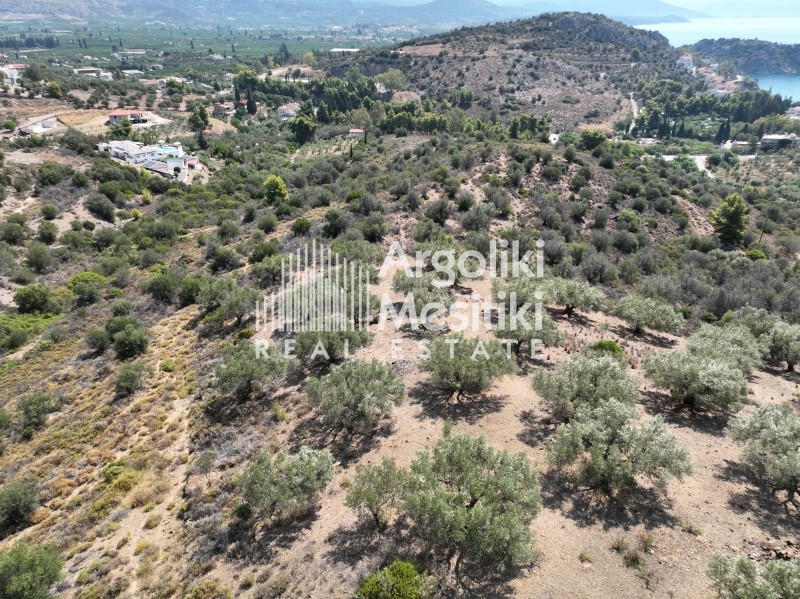 Αγροτεμάχια 9.675 τ.μ. πρός πώληση, Αργολίδα, Ασίνη