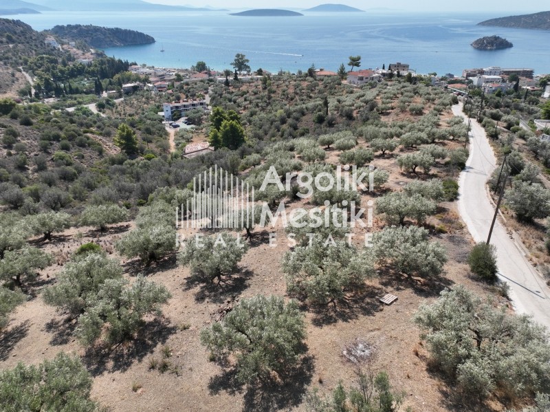 Αγροτεμάχια 9.675 τ.μ. πρός πώληση, Αργολίδα, Ασίνη