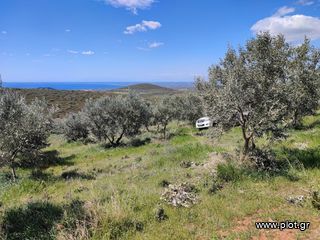 Αγροτεμάχια 4.920 τ.μ. πρός πώληση, Ν. Ρεθύμνου, Αρκάδι-thumb-1