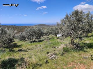 Αγροτεμάχια 4.920 τ.μ. πρός πώληση, Ν. Ρεθύμνου, Αρκάδι-thumb-2
