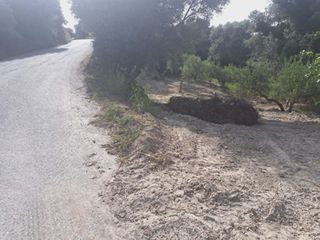 Οικόπεδο 524 τ.μ. για πώληση, Ν. Ρεθύμνου, Αρκάδι-thumb-3