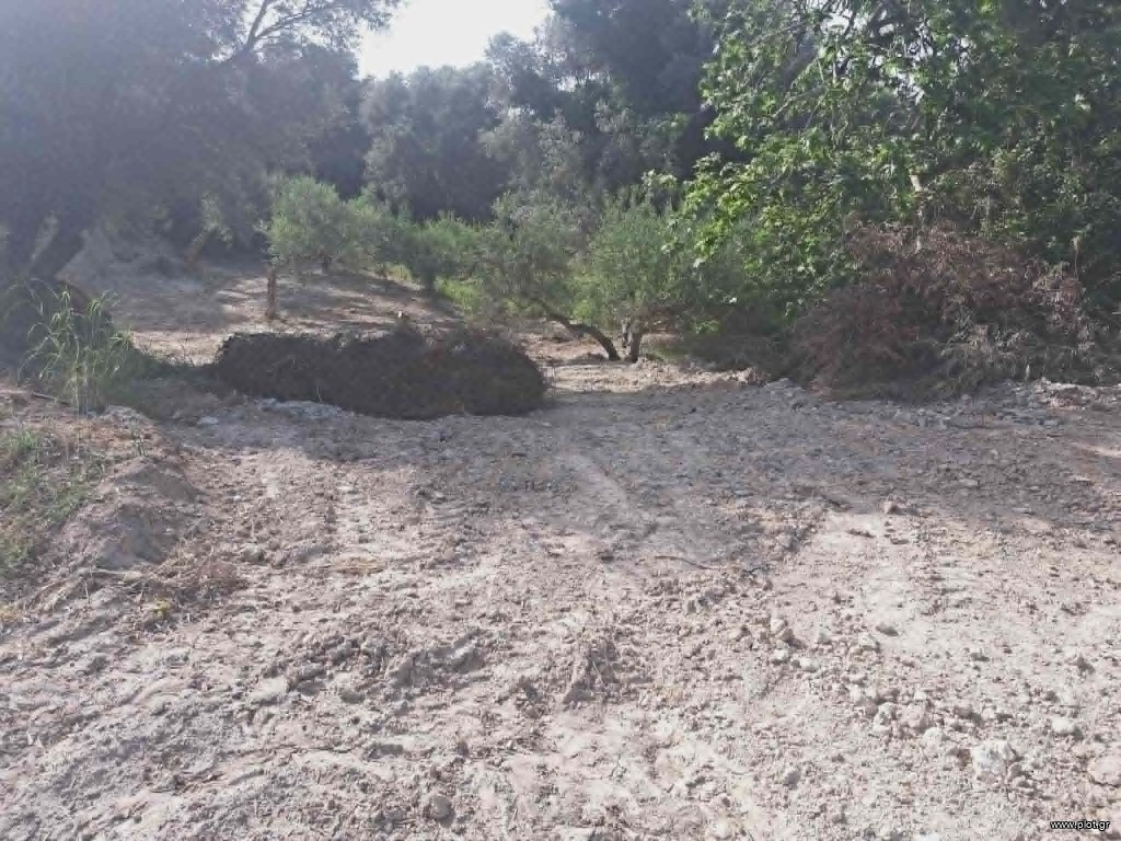 Οικόπεδο 560 τ.μ. πρός πώληση, Ν. Ρεθύμνου, Αρκάδι