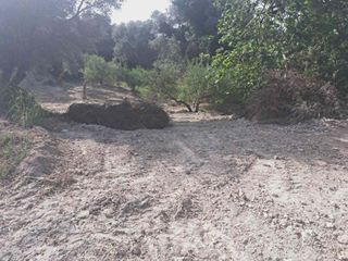 Οικόπεδο 524 τ.μ. για πώληση, Ν. Ρεθύμνου, Αρκάδι-thumb-4