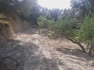Οικόπεδο 524 τ.μ. για πώληση, Ν. Ρεθύμνου, Αρκάδι-thumb-7