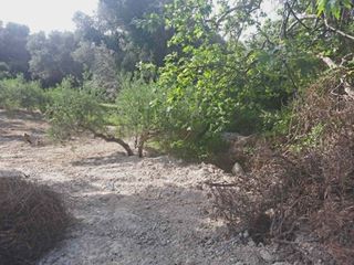 Οικόπεδο 524 τ.μ. για πώληση, Ν. Ρεθύμνου, Αρκάδι-thumb-8
