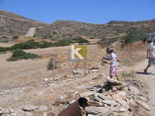Αγροτεμάχια 4.446 τ.μ. προς πώληση, Μαγγανάρι-thumb-2