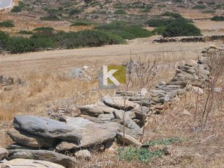 Αγροτεμάχια 4.446 τ.μ. προς πώληση, Μαγγανάρι-thumb-4